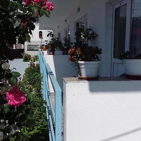Guest house Terra Nova Solis 3*
