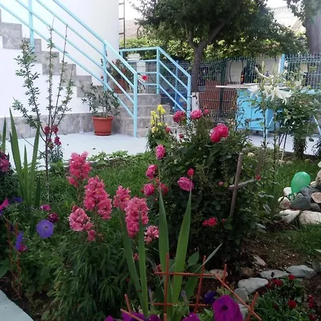 Terra Nova Solis Guest house Costinesti