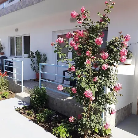 Terra Nova Solis 3*