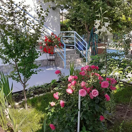 Guest house Terra Nova Solis