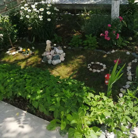 Guest house Terra Nova Solis 3*